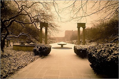 Brooklyn Botanic Gardens In Snow
