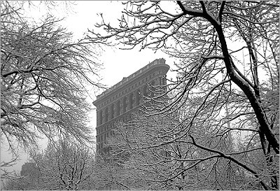 Flatiron Building In Snow